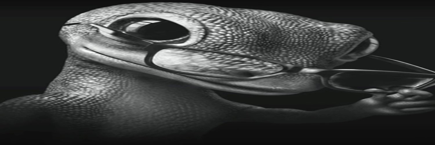 Bloomy's banner
