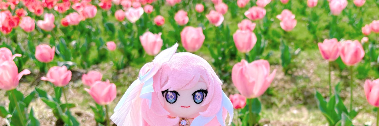 パピ公's banner