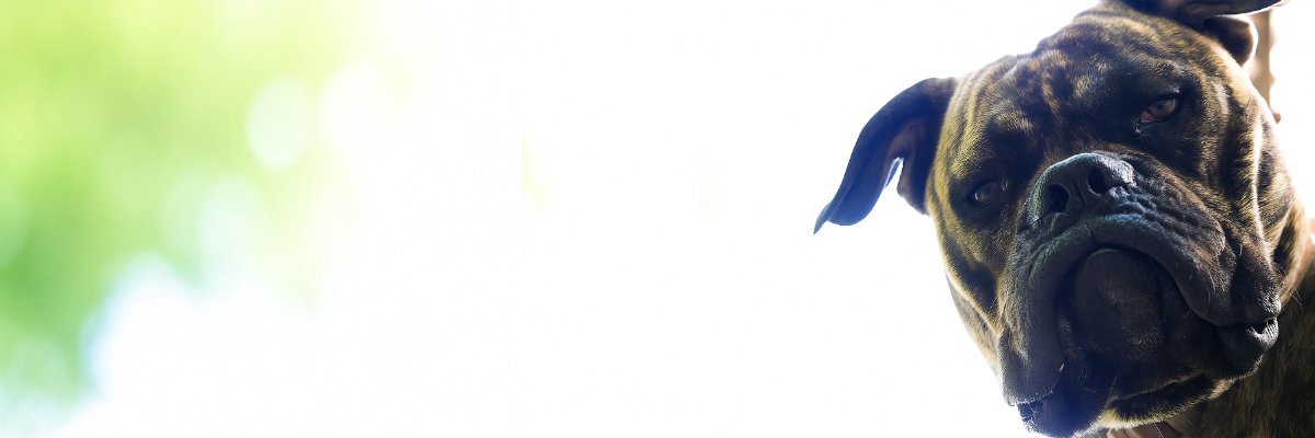 𝘊𝘩𝘦𝘯 𝘠𝘢𝘭𝘪°❀⋆.ೃ࿔*:･'s banner
