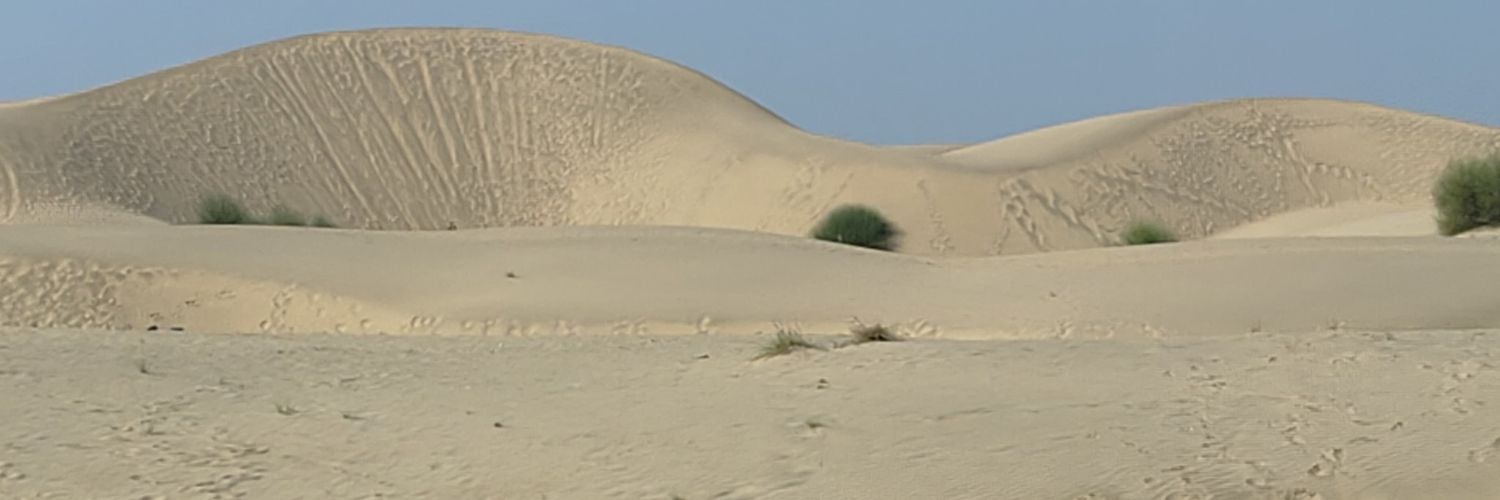 धरा पुत्र मारवाड़'s banner