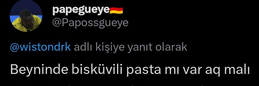 bisküvilipastaa's banner