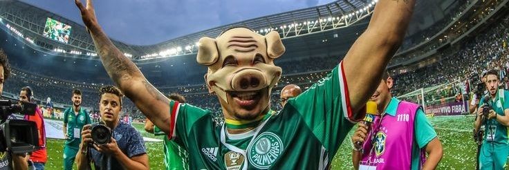 Palmeiras memes🐷💚's banner