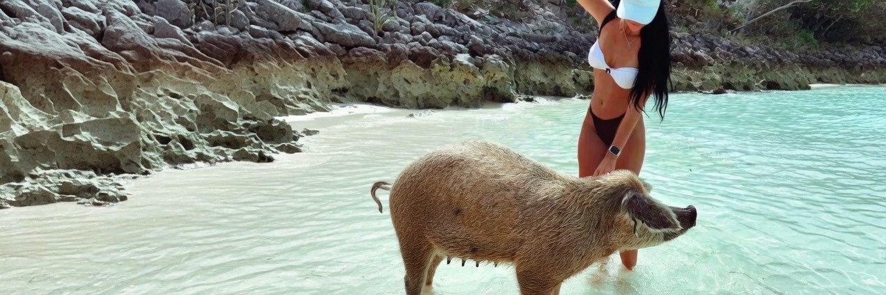 𝗖𝗮𝘁 שושנה 🎀🧃's banner