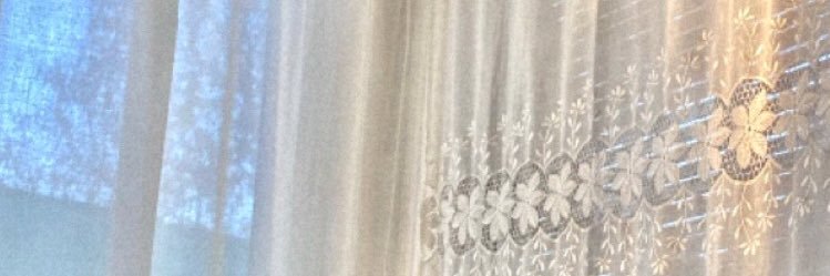 𝐿's banner