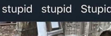 🐇jolly🐦‍⬛junie...'s banner