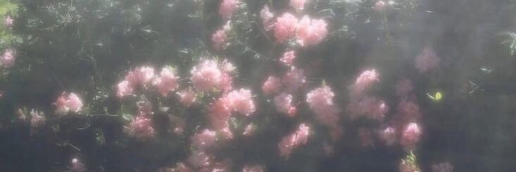 👼🏻🎀's banner