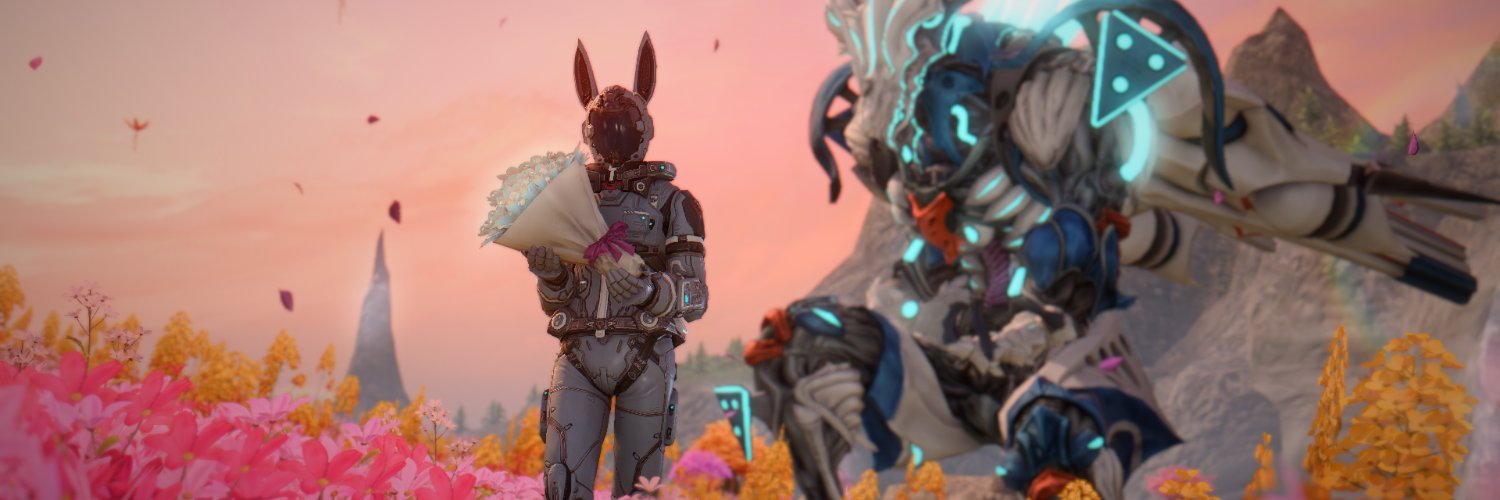 Havel the Pebble's banner