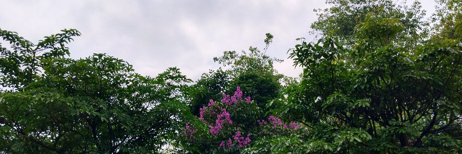 muskan's banner