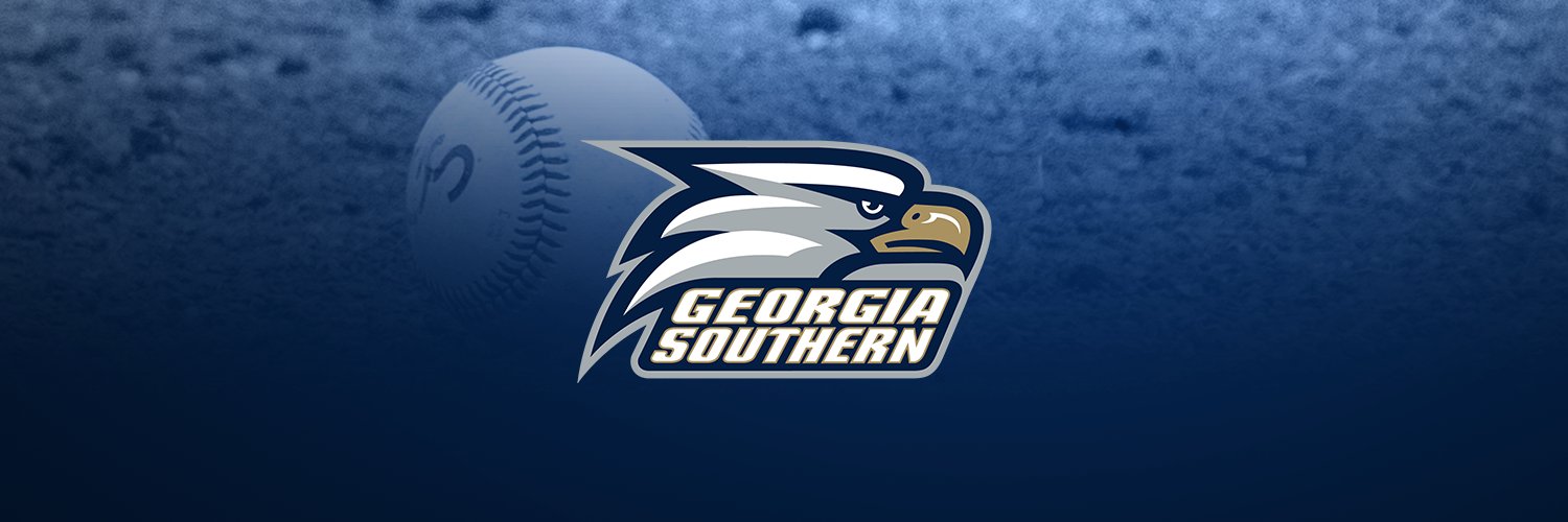 Georgia Southern Baseball's banner