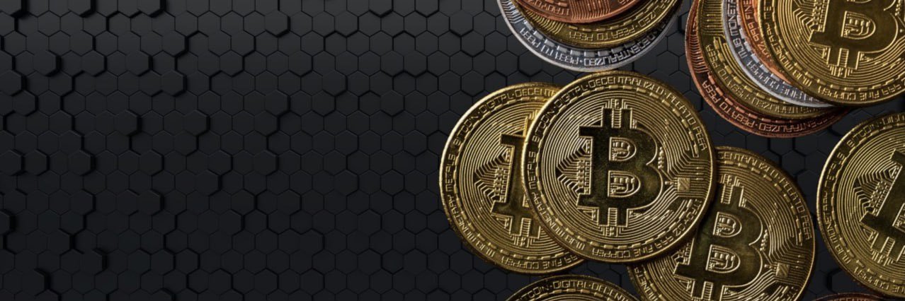 Tarek J's banner