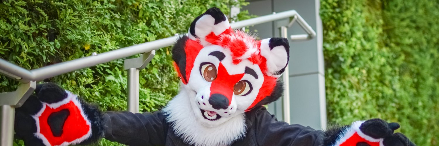 Okko 🐾🤍🖤❤️'s banner