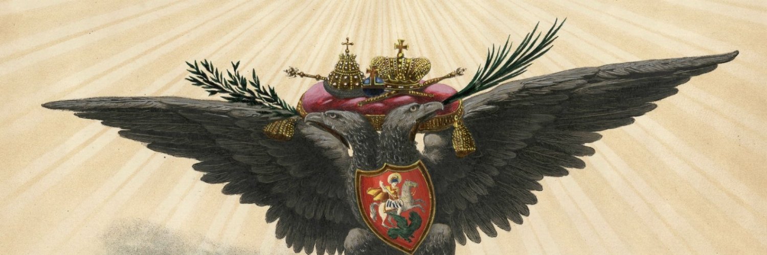 TheGreyPatriot's banner