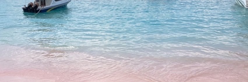 EL🐣's banner