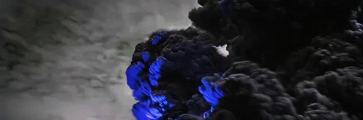 垓泽's banner