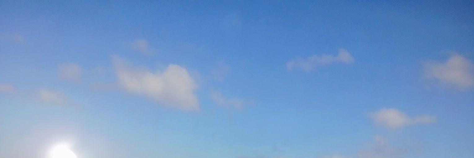 Chris 🌍's banner