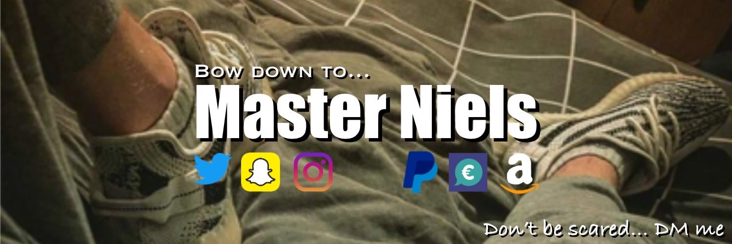 Master Niels's banner