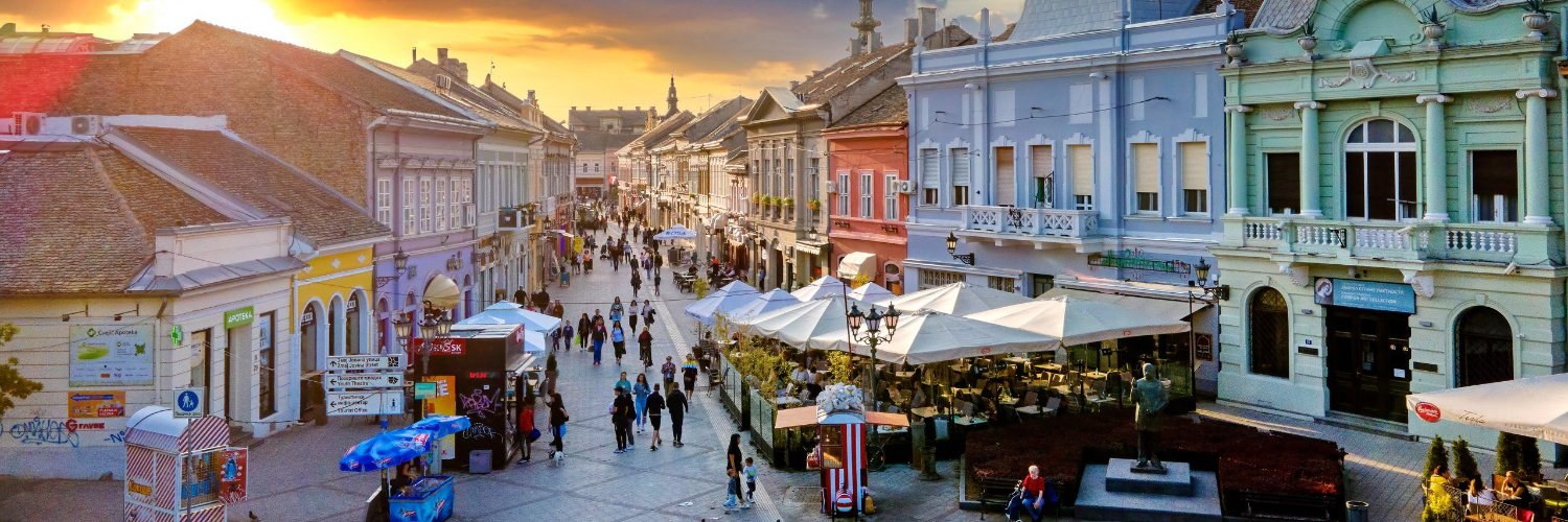 Јелица Јарић 🐝's banner