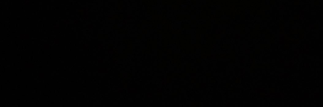 lexi's banner
