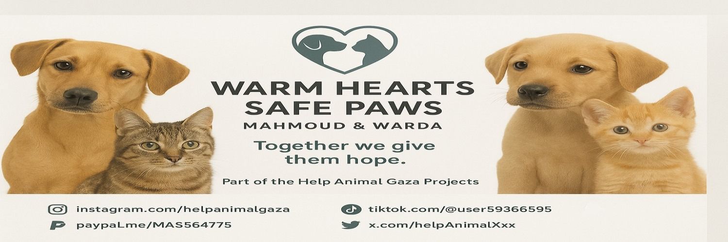 🐾help Animal Gaza🐾's banner
