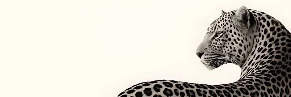 stacey ⋆'s banner