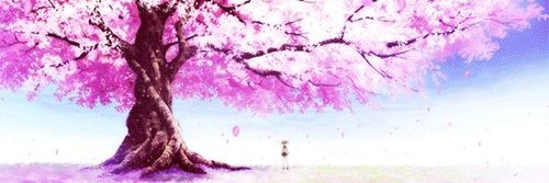kiqnz's banner