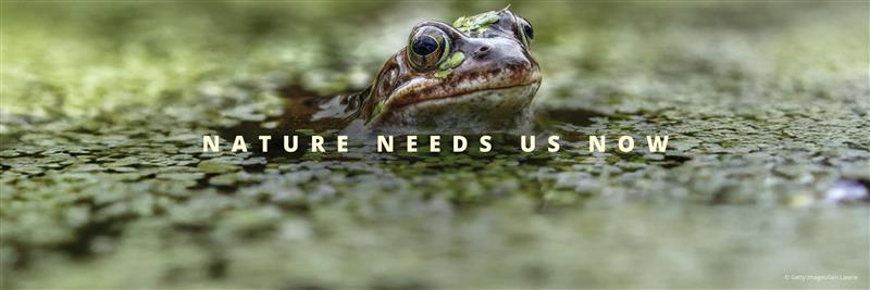 World Wildlife Fund's banner