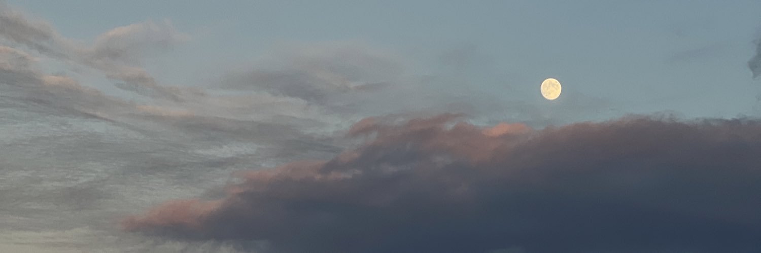 bubble.tea☃️每日生存日記's banner