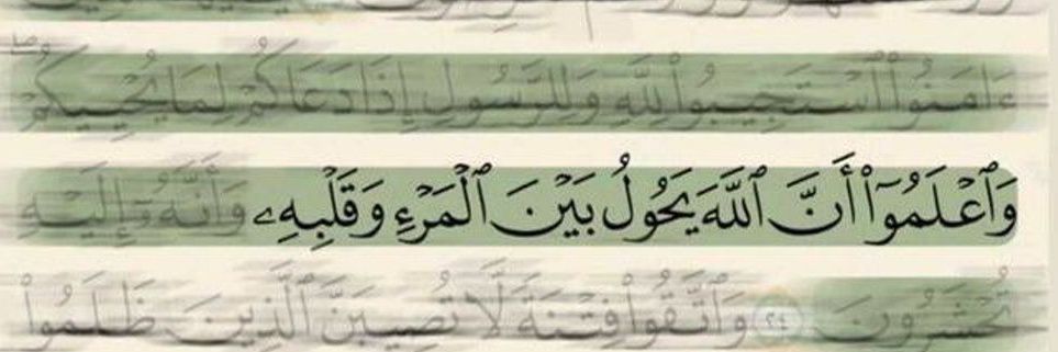 Fatıma's banner