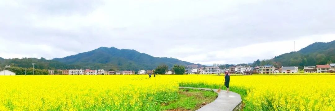 新新's banner