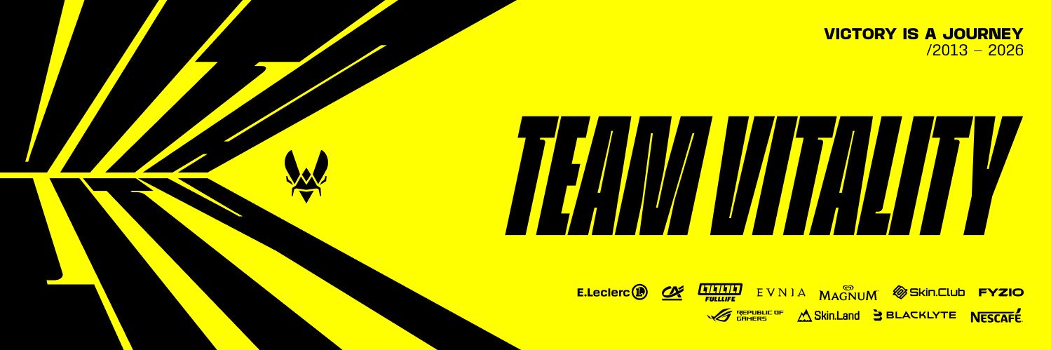 Team Vitality 🐝's banner