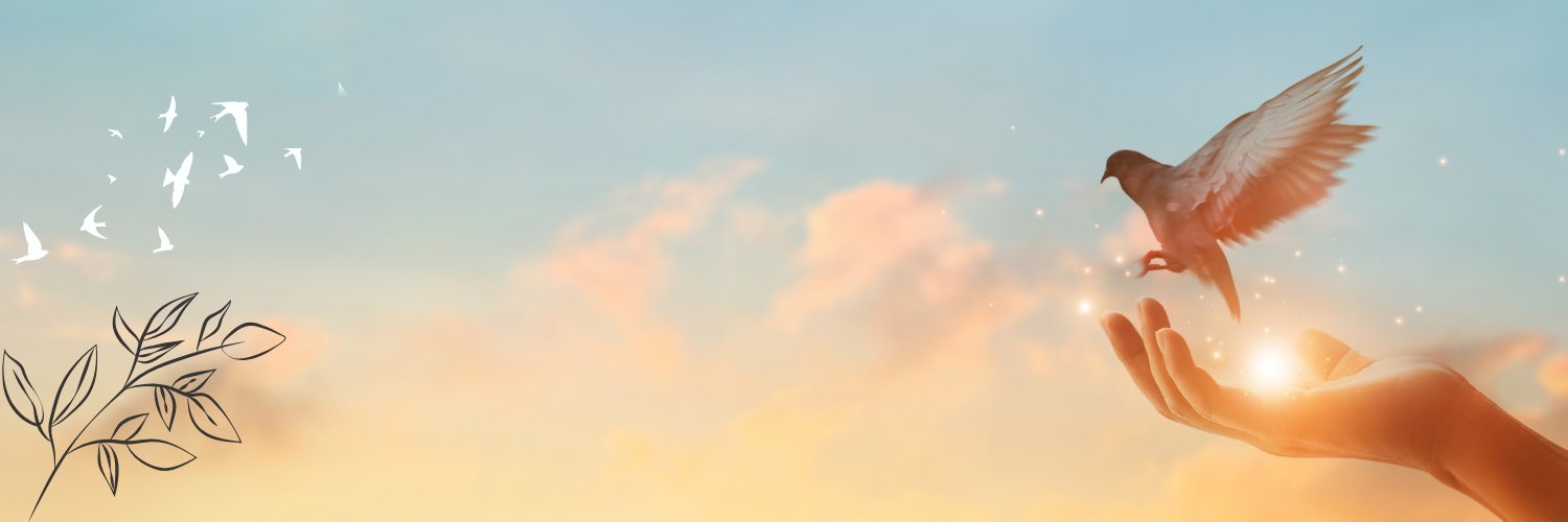 Mesut's banner