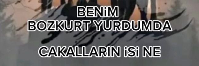 Peri 🇹🇷's banner