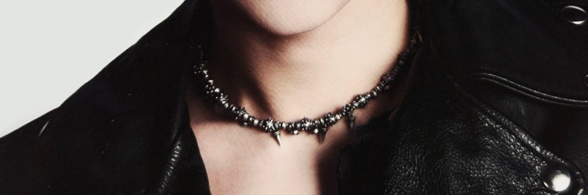 ven's banner