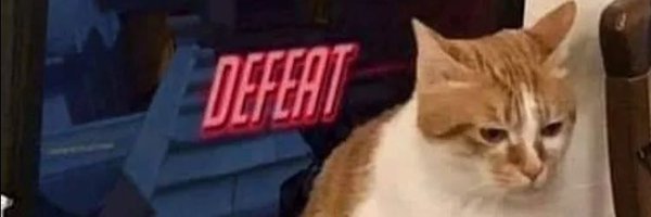 bagel 🤍's banner