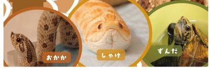 ヘビとカメとの日常(nao)'s banner