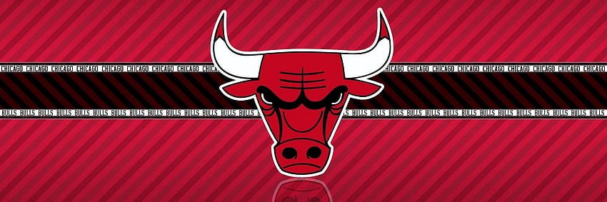 Die-Hard Chicago Bulls Fans's banner