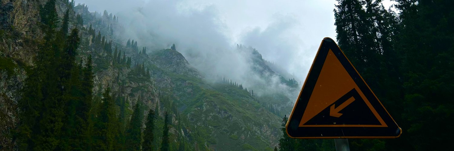 Даша Чжао's banner