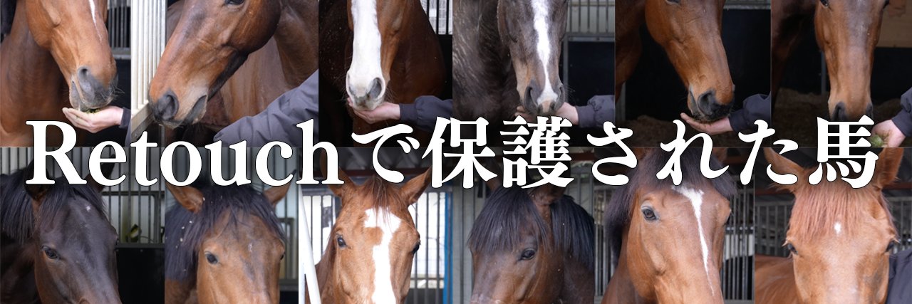 🟢命ある引退競走馬を肥育場から保護へ◆リタッチ（公式）🐴保護馬と高校生が共に育つ馬の学校バジガク's banner