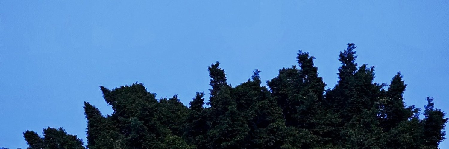 Klement 🌿's banner
