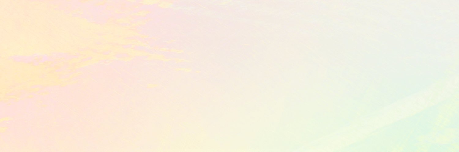 野本ほたる's banner