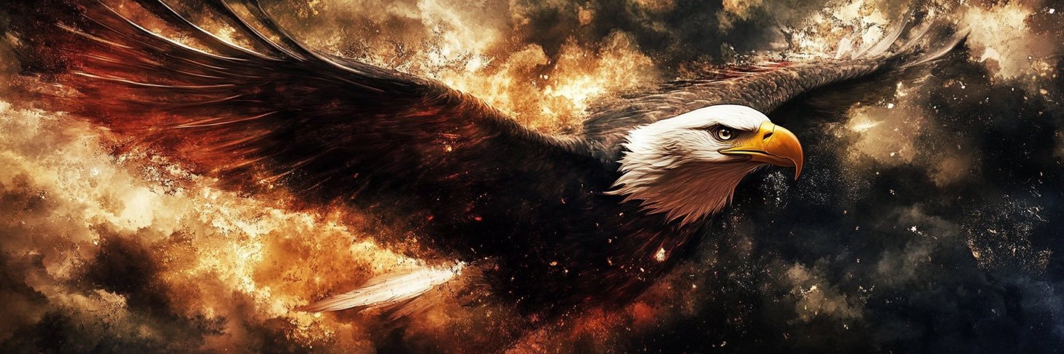 MjD🇺🇸's banner