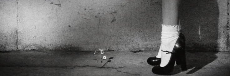 lucía ꕤ's banner
