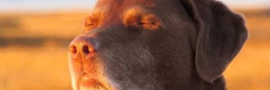 Tj🙂‍↔️'s banner