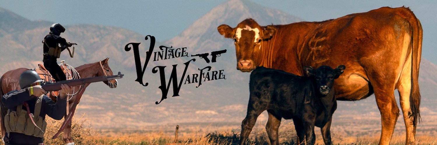 Vintage Warfare's banner