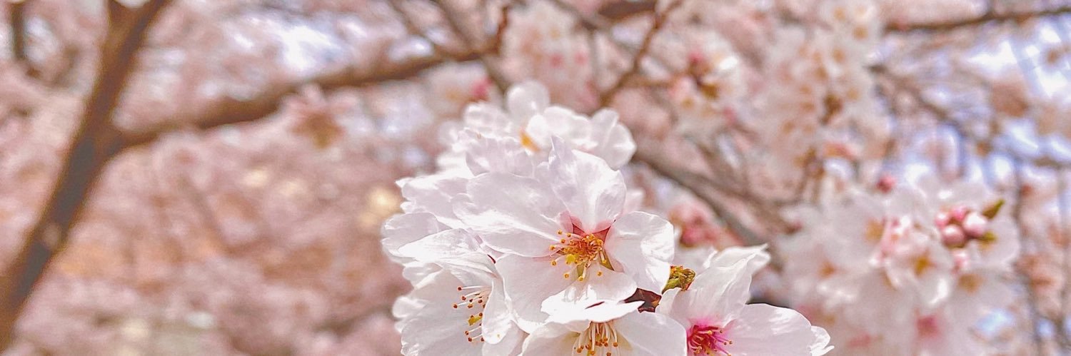 まつおか【馬券師の観察記録】's banner
