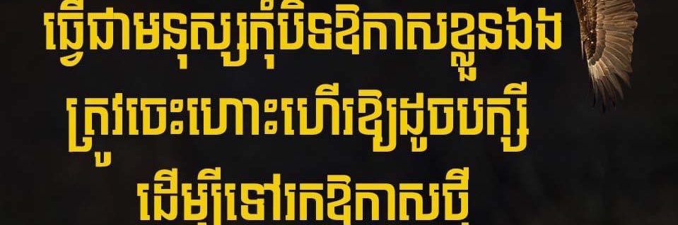 Daro(បុរសអភ័ព្វស្នេហ៍)'s banner