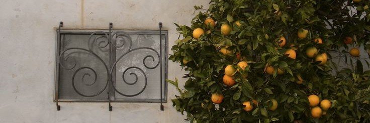aloxss ♡'s banner