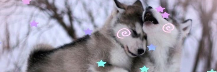Gaege🖤's banner