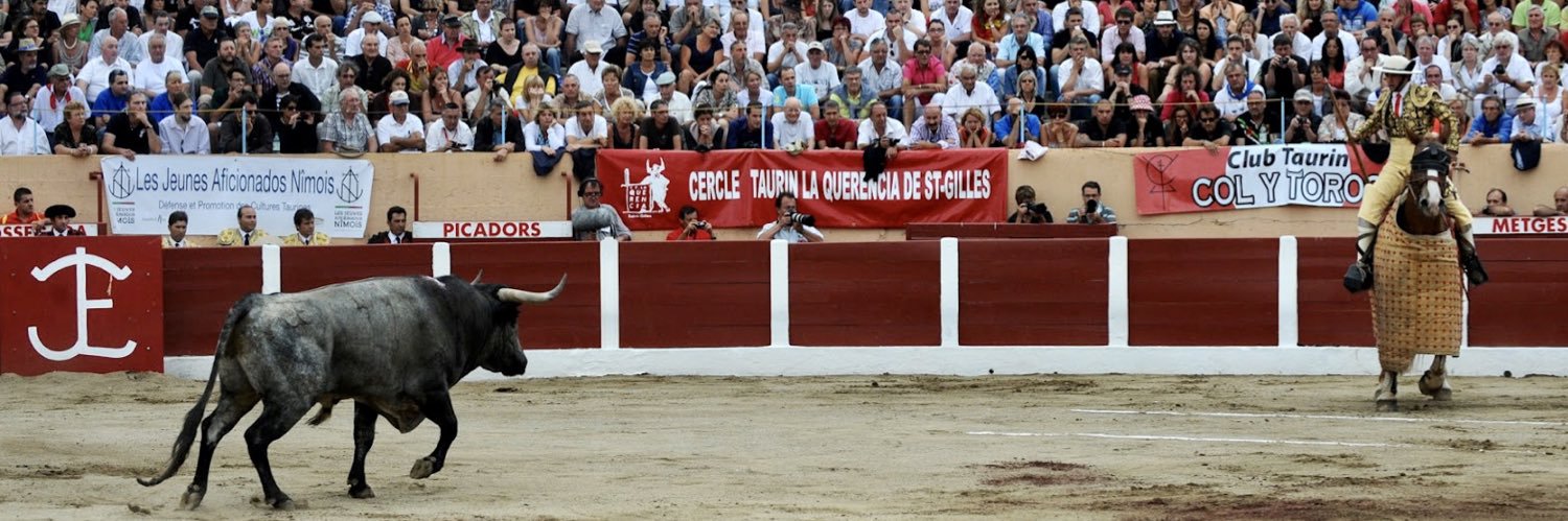 Alejandro Martínez's banner