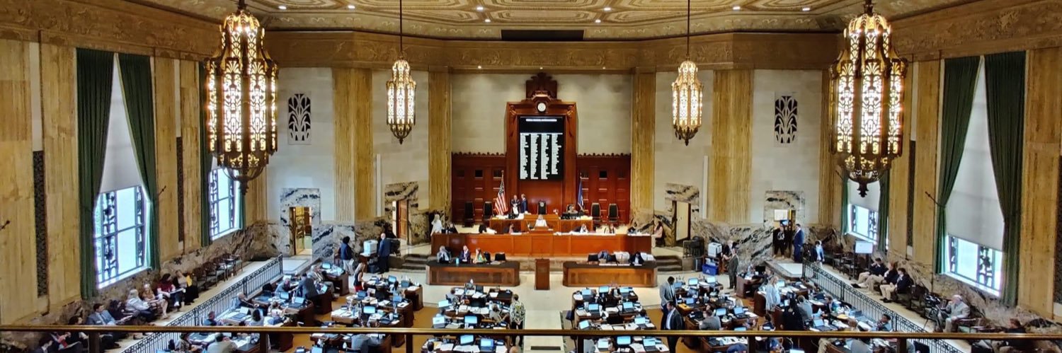Louisiana Freedom Caucus's banner